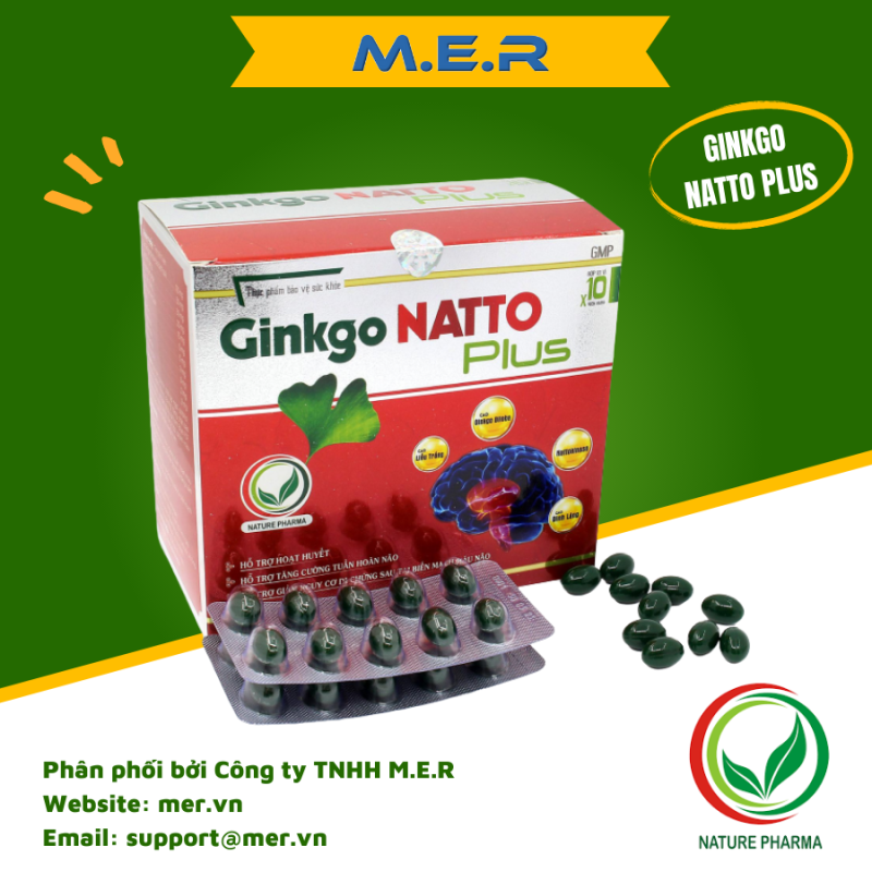 TPBVSK Hoạt Huyết Dưỡng Não Ginkgo Natto Plus | CÔNG TY TNHH M.E.R